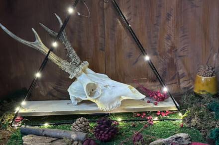 3. ábra a szabadulószoba Elhagyott Kunyhó / Debrecen Kelet Magyarország