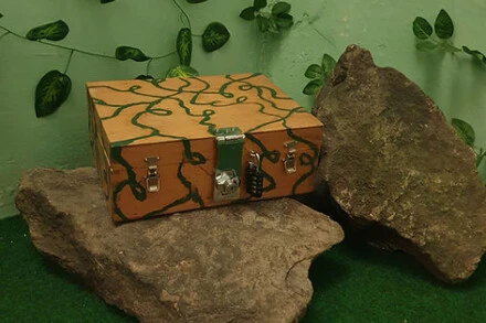 illustration 1 for escape room Hidden treasure of the Jungle Budapest