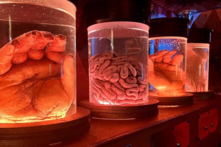 1. ábra a szabadulószoba A játékkészítő Budapest